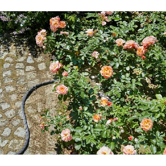 Gardena Vrtno crijevo Liano - Duljina: 30 m, Promjer crijeva: 13 mm (½″) - Živopisni prikaz