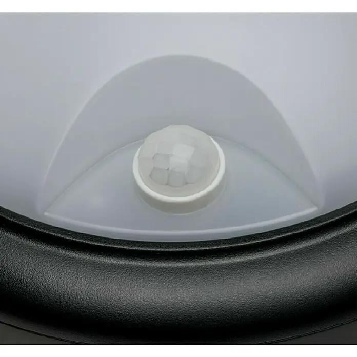 Paulmann Vanjska zidna LED svjetiljka - 15 W, Crne boje, IP44, Ø x V: 180 x 66 mm - Detaljan prikaz