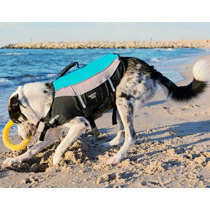 Prsluk za plivanje za pse Safety Dog M - Najlon, Plave boje - Živopisni prikaz