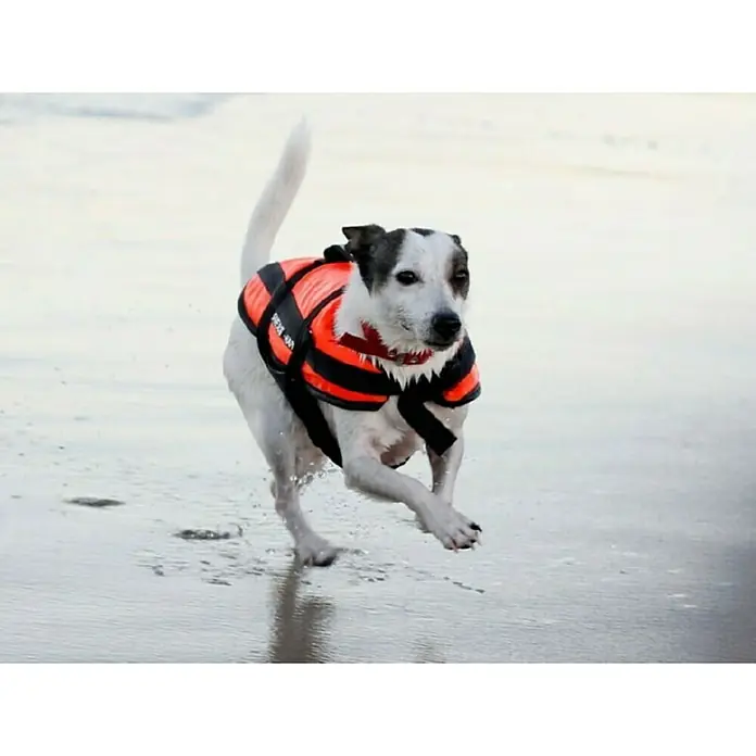 Prsluk za plivanje za pse Happy Dog L - Najlon, Narančaste boje - Živopisni prikaz