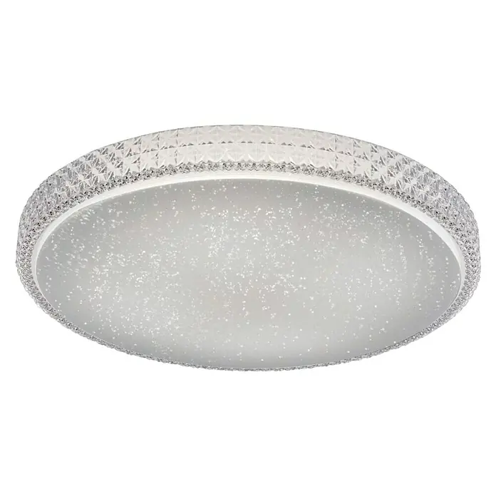 Paul Neuhaus LED stropna svjetiljka - 36 W, D x Š x V: 600 x 600 x 110 mm, Prozirno, Topla bijela - Pogled odozdo