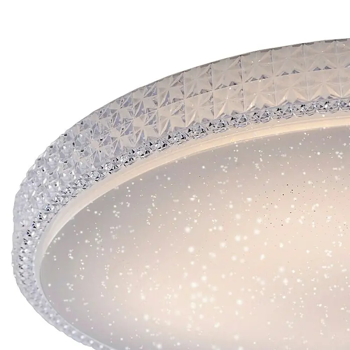 Paul Neuhaus LED stropna svjetiljka - 36 W, D x Š x V: 600 x 600 x 110 mm, Prozirno, Topla bijela - Detaljan prikaz