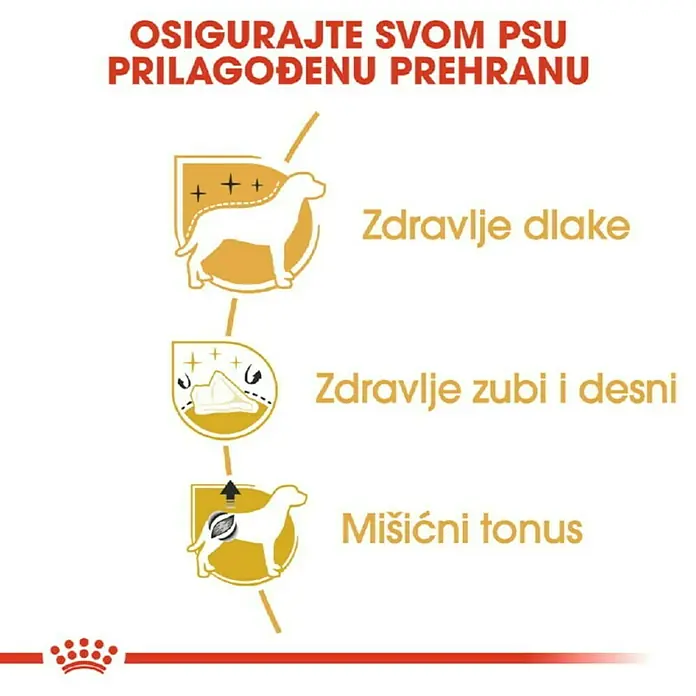 Royal Canin Suha hrana za pse BHN Poodle 1,5 kg - Analitički sastavni dijelovi: Sirove bjelančevine 30%, sirova ulja i masti 19%, sirova vlaknina 2.1%