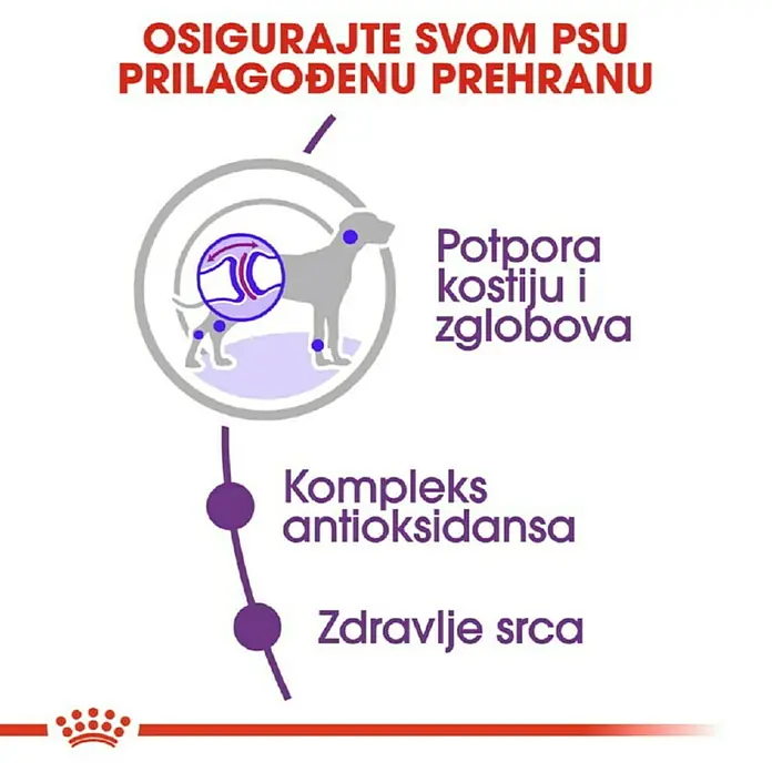Royal Canin Suha hrana za pse SHN Giant Adult 15 kg - Analitički sastavni dijelovi: Sirove bjelančevine 28%, sirova ulja i masti 20%, sirova vlaknina 1.8%