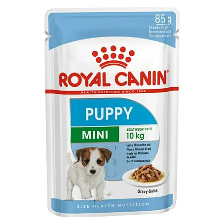 Royal Canin  Poster SHN Mini Puppy