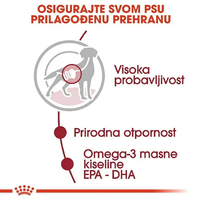 Royal Canin Mokra hrana za pse SHN Medium Adult 140g - Preporučena dob: 12 mj. - 1 godine
