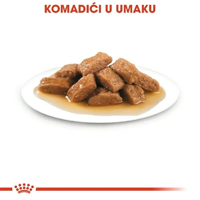 Royal Canin Mokra hrana za pse SHN Medium Adult 140g - Preporučena dob: 12 mj. - 1 godine