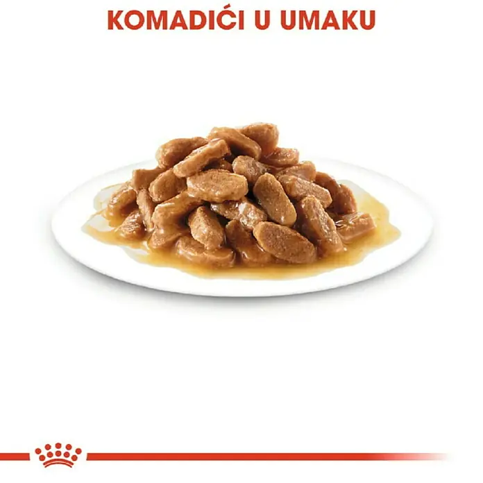 Royal Canin Mokra hrana za pse SHN Maxi Puppy - Životna faza: Štene, Analitički sastavni dijelovi: Sirove bjelančevine 8.3%, sirova ulja i masti 5%, sirova vlaknina 1.4%