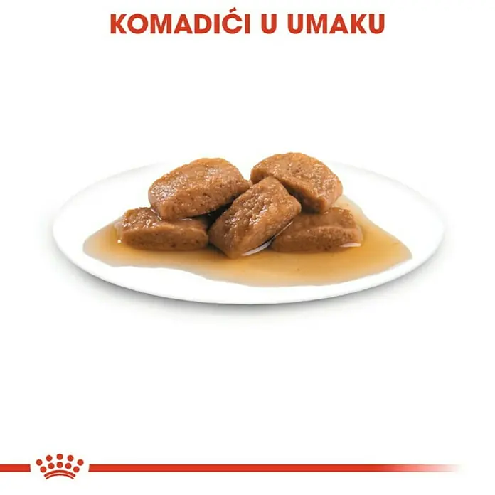 Royal Canin Poster SHN Maxi Adult 140g - Preporučena dob: 15 mj. - 8 godine