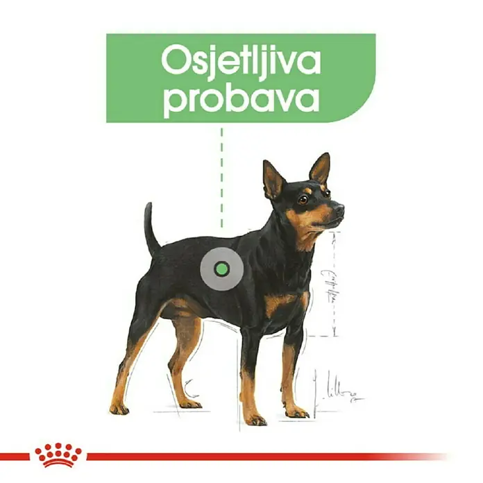 Royal Canin Suha hrana za pse CCN Digestive Care Mini 1 kg - Psi
