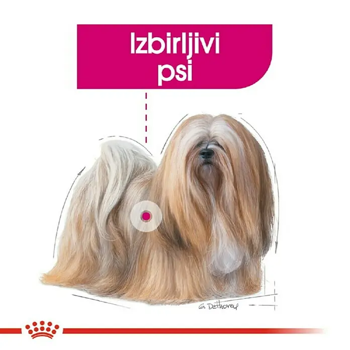 Royal Canin Suha hrana za pse CCN Mini Exigent 3 kg - Psi