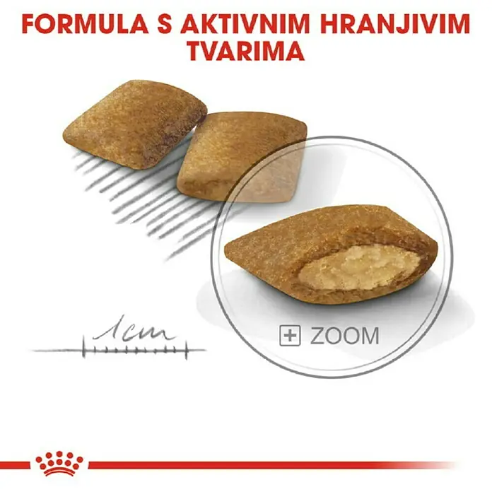 Royal Canin Suha hrana za pse CCN Mini Exigent 3 kg - Psi