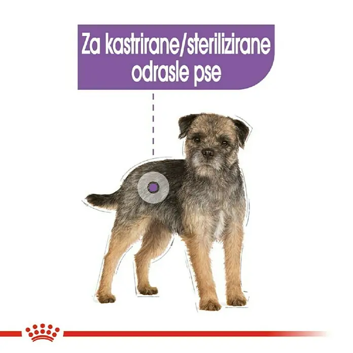 Royal Canin Suha hrana za pse CCN Mini Sterilised 1 kg - Analitički sastavni dijelovi: Sirove bjelančevine 30%, sirova ulja i masti 13%, sirova vlaknina 6.6%