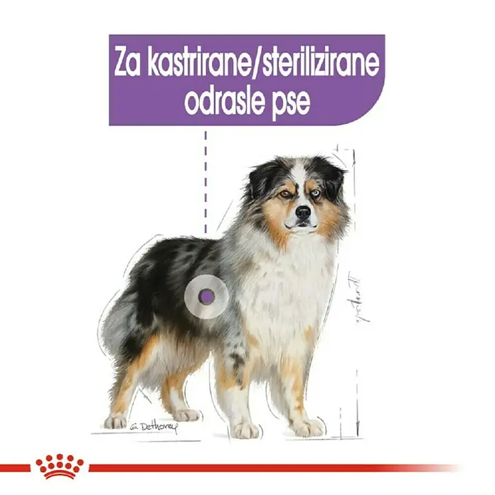 Royal Canin Suha hrana za pse CCN Sterilised Medium - Analitički sastavni dijelovi: Sirove bjelančevine 28 %, sirova ulja i masti 13 %, sirova vlaknina 6.4 %