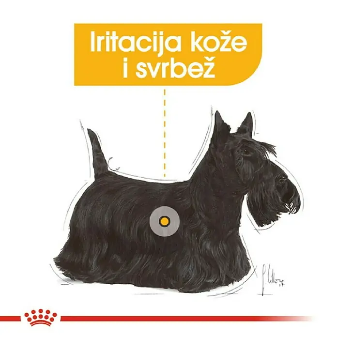 Royal Canin Mokra hrana za pse CCN Derma Comfort Loaf - 850 g, Analitički sastavni dijelovi: Sirove bjelančevine 8.6 %, sirova ulja i masti 6.6 %, sirova vlaknina 1.3 %