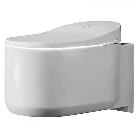 Grohe  Wand-Dusch-WC-Set Sensia Arena