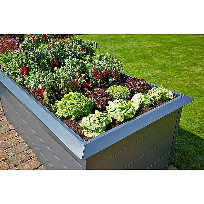 Gardol Visoka gredica - D x Š x V: 200 x 100 x 76 cm, Čelik, Antracit - Živopisni prikaz