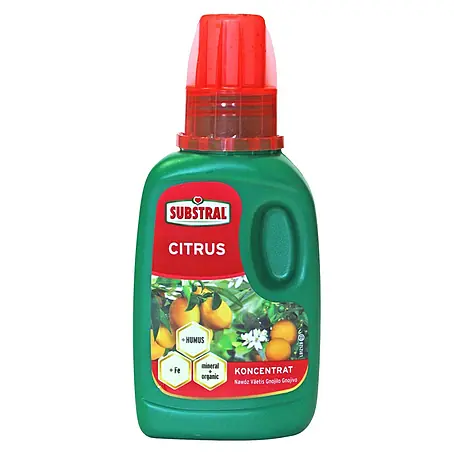 Substral  Gnojivo za citrusne biljke