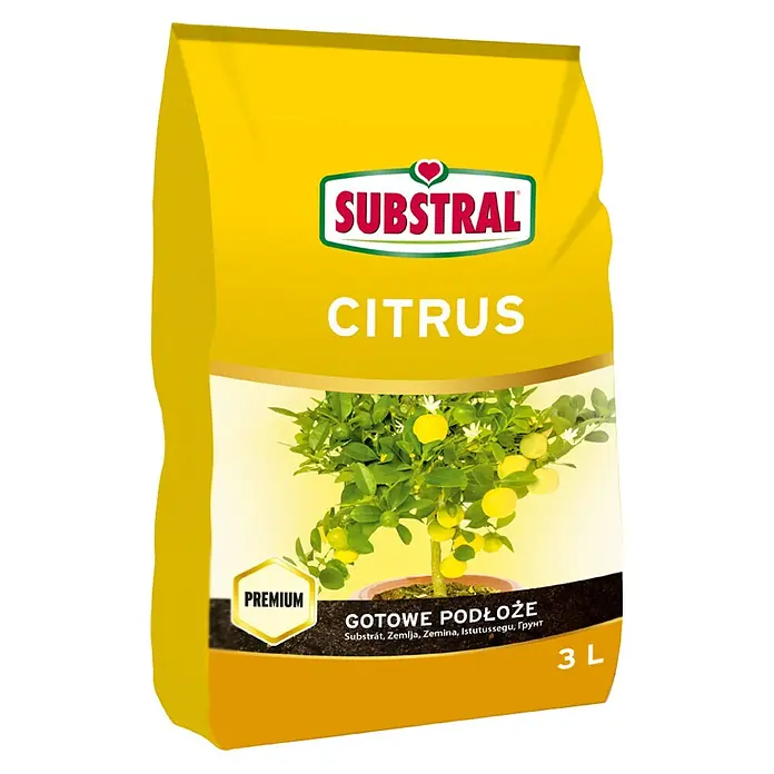 Substral Zemlja za citrusne biljke - 3 l - Pogled sprijeda