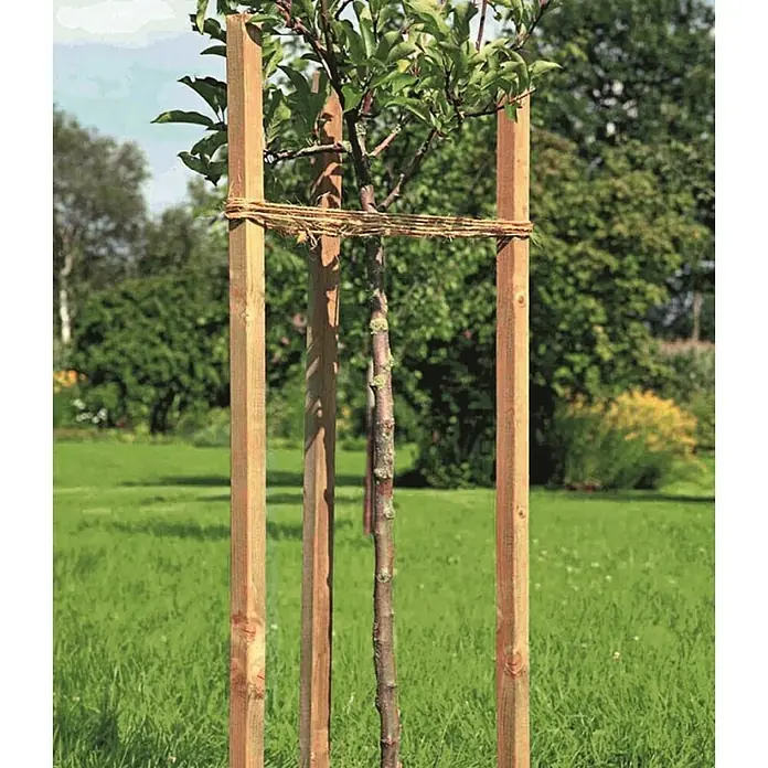 Potporanj za stablo - D x Š x V: 4 x 4 x 100 cm - Živopisni prikaz