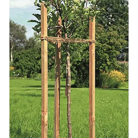 Potporanj za stablo