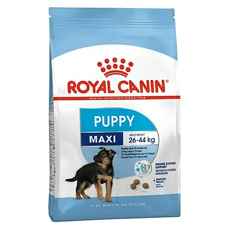 Royal Canin  Suha hrana za pse SHN Maxi Puppy