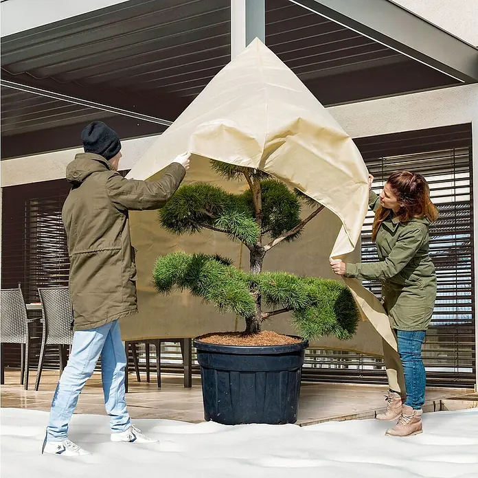 Windhager Winterschutzvlies Superprotect - L x B: 2,4 x 2 m, Beige, 100 g/m² - Anwendungsbeispiel