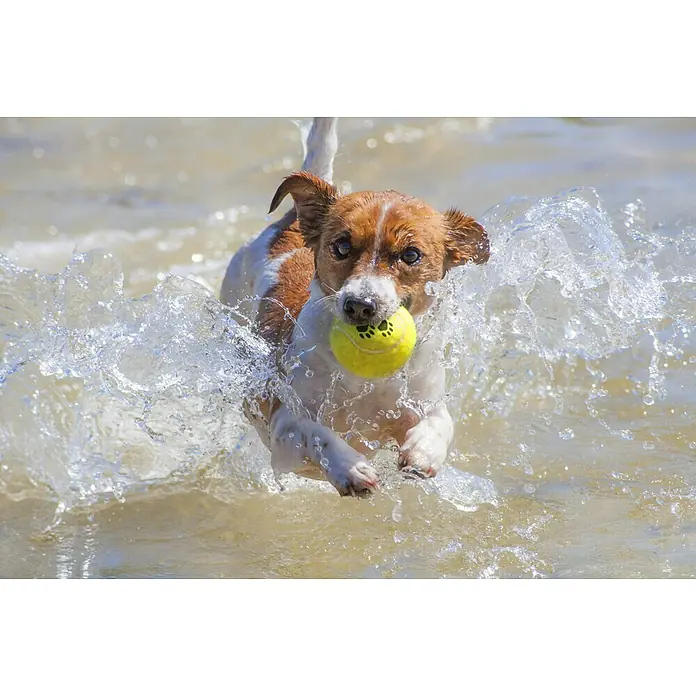 Karlie Hondenspeelgoed Set tennisballen - Diameter: 6 cm, Rubber, Inhoud: 2 stk. - Sfeeropname