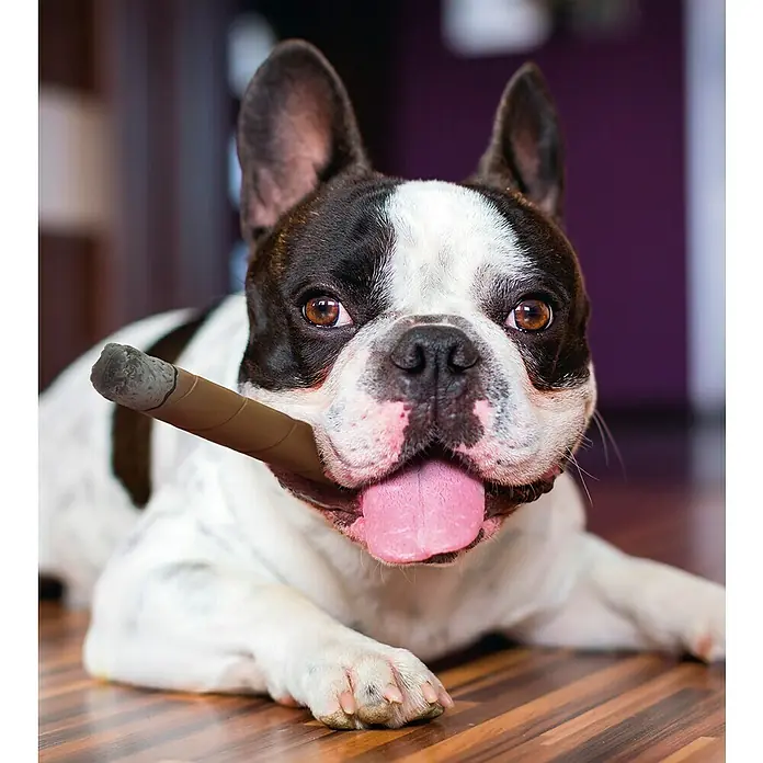 Karlie Juguete para perros Puro - 15 x 3 x 3 cm, Látex - Foto ambiente