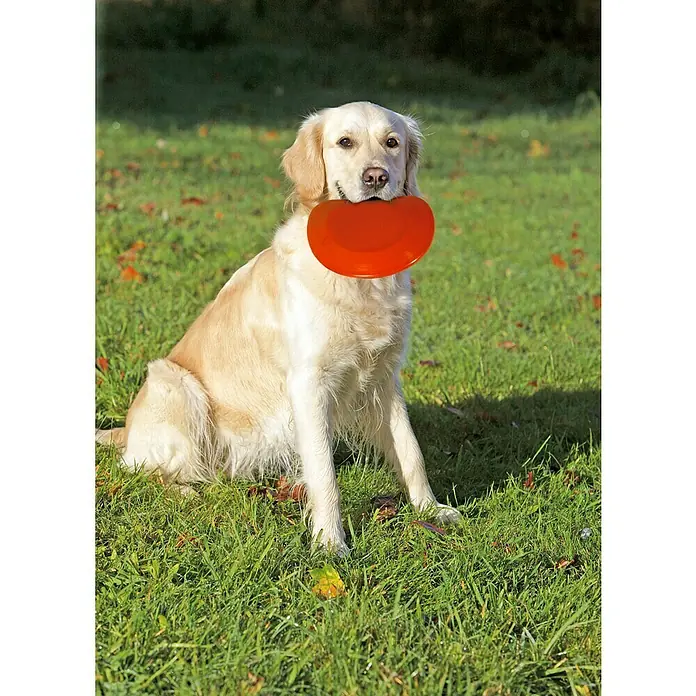 Karlie Hondenspeelgoed Frisbee - Diameter: 23 cm, Kunststof - Sfeeropname