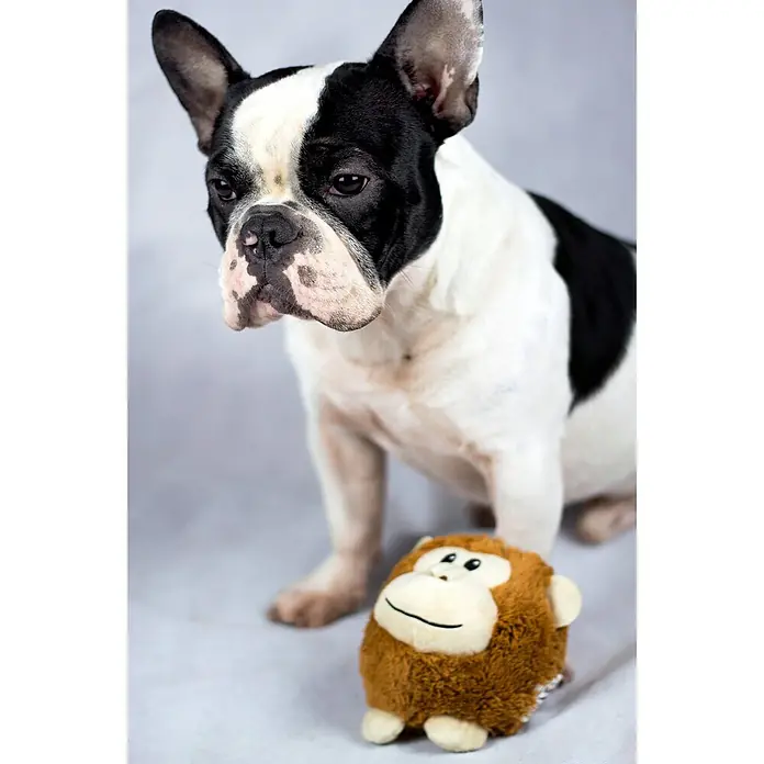 Karlie Juguete para perros Bonky - 13 x 14 x 13 cm, Felpa - Foto ambiente