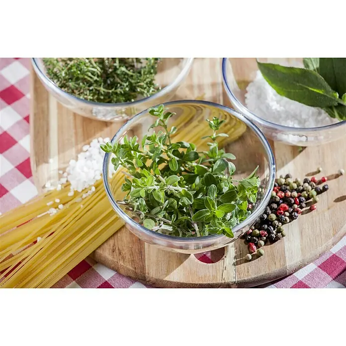 Piardino Oregano - Origanum vulgare - Stimmungsaufnahme