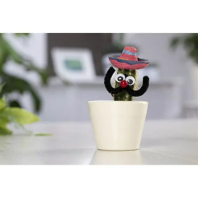 Piardino Kaktus mit Mexikanerhut - Cactus, Topfgröße: 6 cm - Stimmungsaufnahme