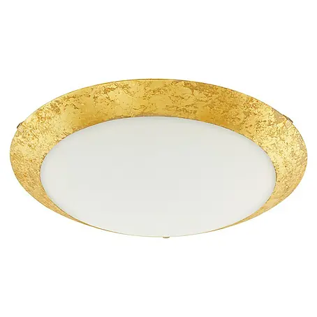 Eglo  Okrugla stropna LED svjetiljka