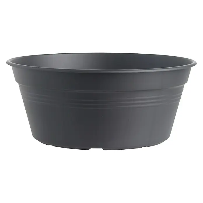 Elho Green Basics Plantenschaal, rond - Buitenmaat (Ø x h): 33 x 14 cm, Kunststof, Zwart - Vooraanzicht