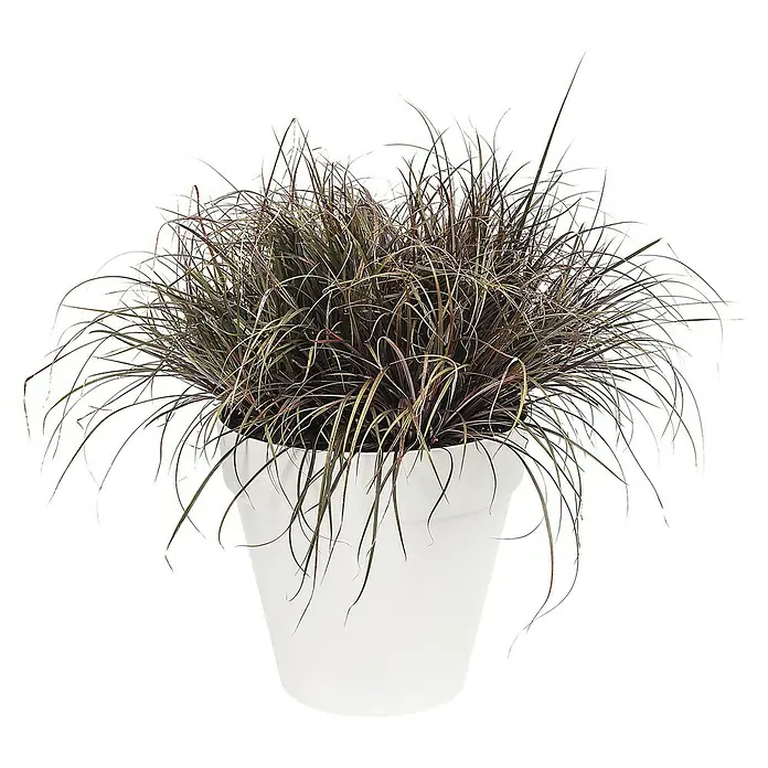 Elho Loft Urban Tegla za cvijeće - Vanjska dimenzija (ø x V): 39 x 35 cm, Plastika, Bijele boje - Pogled sprijeda