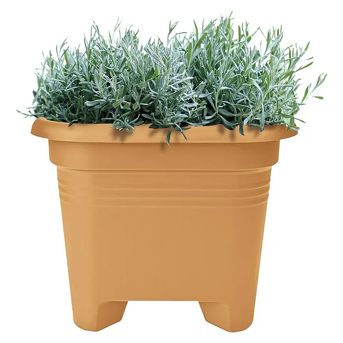 Elho Green Basics Kvadratna posuda za biljke - Vanjska dimenzija (D x Š x V): 39 x 39 x 31 cm, Plastika, Terakota - Pogled sprijeda