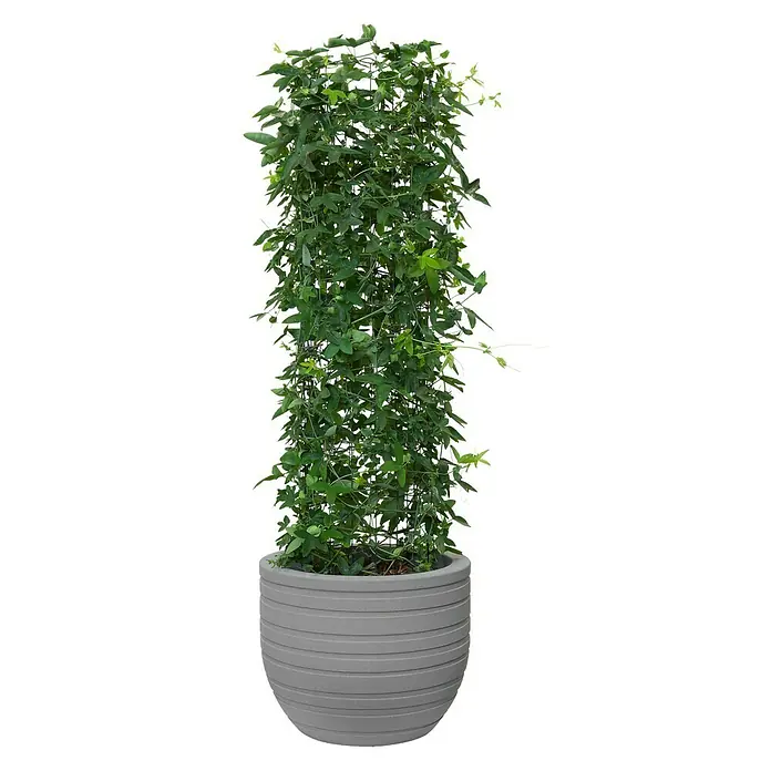 Elho Allure Plantenpot Ribbon 40 - Buitenmaat (Ø x h): 39 x 31,3 cm, Kunststof - Vooraanzicht