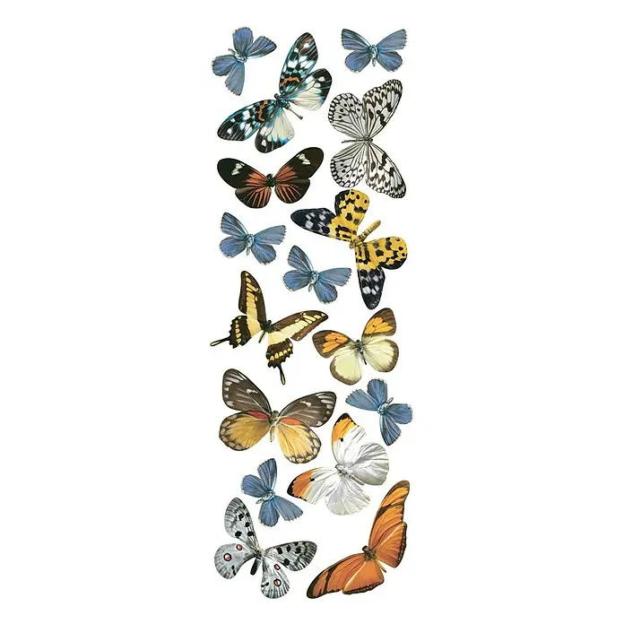 Vinilo de pared Mariposas - Multicolor, 24 x 68 cm - Vista frontal