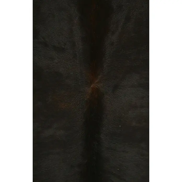 Esbeco Decoratieve koeienhuid - Exotisch donker, 100 % echt bont, Oppervlakte ca.: 3 m² - 4 m² - Top-down weergave