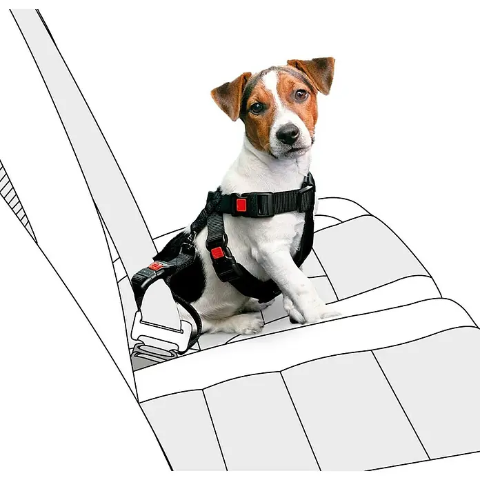 Karlie Veiligheidstuig voor honden - Nylon, Lengte: 25 - 40 cm - Toepassingsvoorbeeld