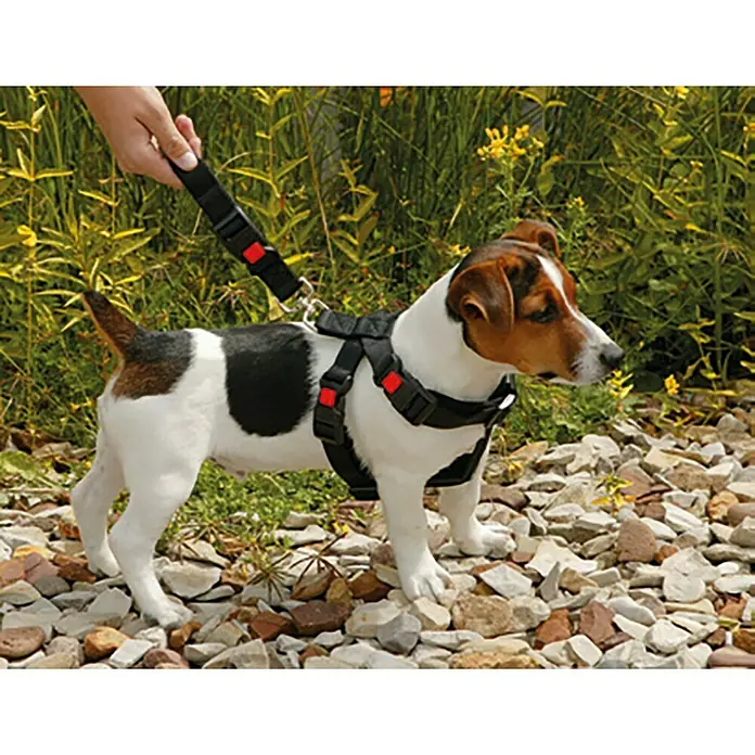 Karlie Veiligheidstuig voor honden - Nylon, Lengte: 25 - 40 cm - Toepassingsvoorbeeld