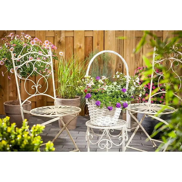 Piardino Verbena Híbrida - Verbena Hybride, Tamaño de maceta: 15 cm, En función de la variedad - Foto ambiente