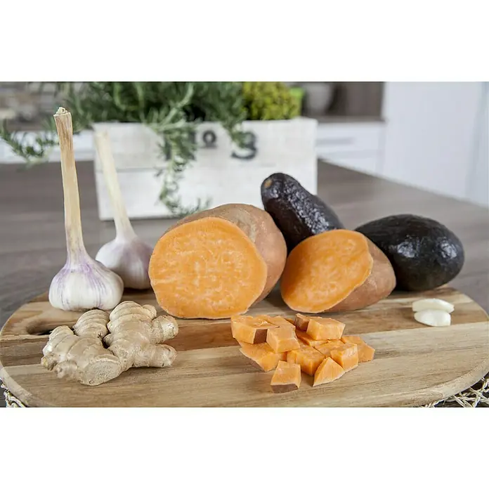 Piardino Süßkartoffel Speise-Süßkartoffel 'Erato'® - Ipomoea batatas 'Erato'®, Erntezeit: September - Oktober - Stimmungsaufnahme