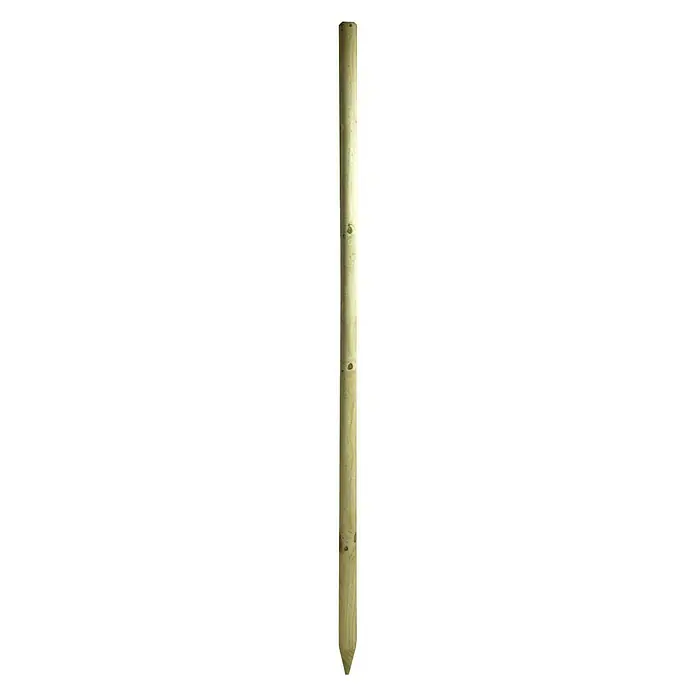 Potporanj za stablo - Duljina: 200 cm, Promjer: 60 mm, Bor, Zelene boje - Pogled sprijeda