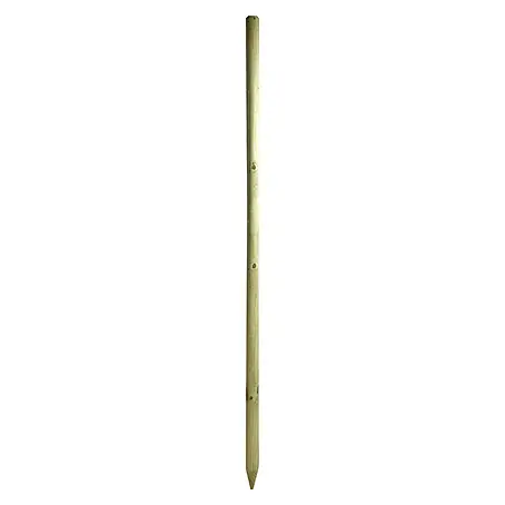 Baumpfahl