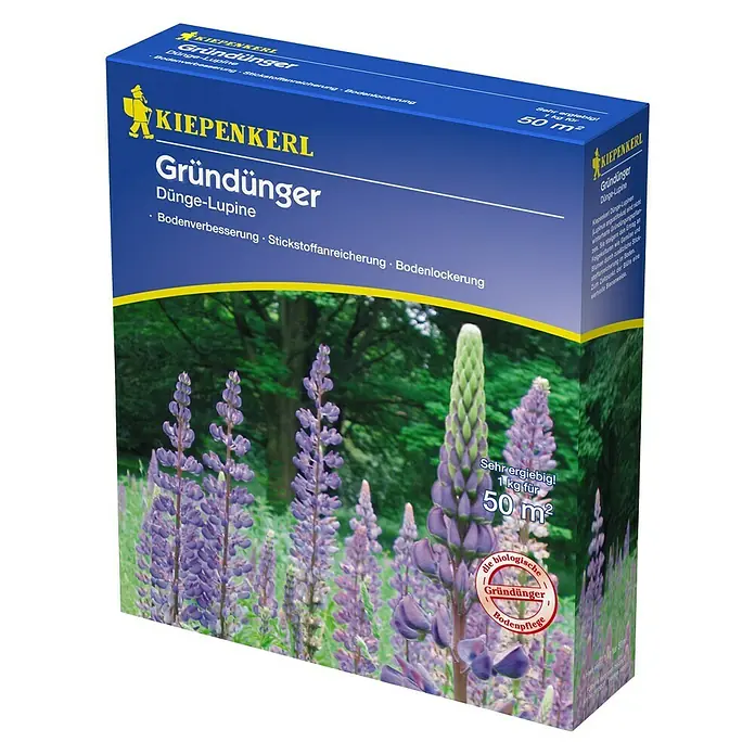 Kiepenkerl Gründüngung - Lupinus angustifolius, 50 m² - Diagonale Ansicht