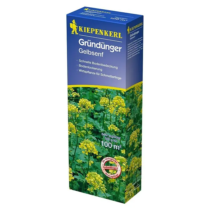 Kiepenkerl Gründüngung - Sinapis alba, Gelbsenf, 100 m² - Diagonale Ansicht
