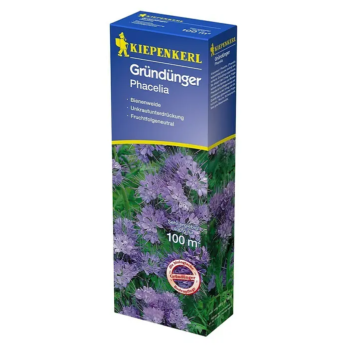 Kiepenkerl Gründüngung - Phacelia tanacetifolia, Phacelia, 100 m² - Diagonale Ansicht