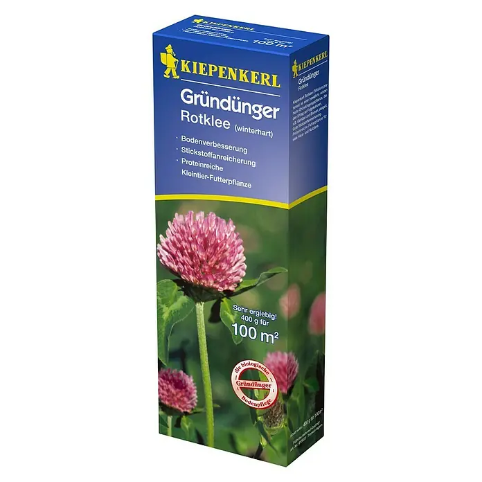 Kiepenkerl Gründüngung - Trifolium pratense, Rotklee, 100 m² - Diagonale Ansicht